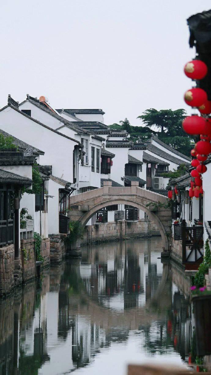 动物帮帮忙保卫家园